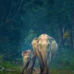 Pete Dyer - @pete.dyer.102 - Instagram