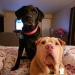 Pete Early - @earlypete60 - Instagram