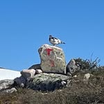 Peter Schrag - @peter_early_retired - Instagram
