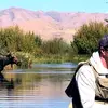 pete erickson - @ericksonflyfishing - TikTok