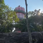 Pete Erickson - @peteerickson60 - Instagram