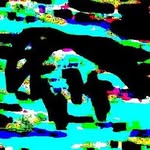 Pete Erickson - @d.8sd.2308928 - Instagram