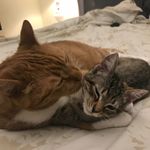 Pete & Farley 🇨🇦 - @peter_and_farley - Instagram