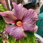Pete Farley - @fpfarley13 - Instagram