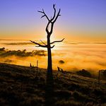 Peter Farley - @fazpey - Instagram
