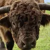 farmer_ pete🐮 - @farmer_.pete - TikTok