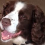 Pete Farmer - @pete.farmer.1848 - Instagram