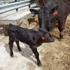 petefarmer379 - @petefarmer379 - TikTok
