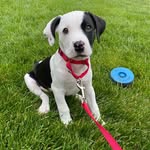 Ferris Pete - @ferris_pete - Instagram