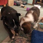 Kanga and Pete Ferry - @kangaandpete - Instagram