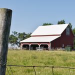Pete Fleming - @auxsablecreekpastures - Instagram