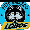 LOBOS - @petegallegoslobos - TikTok