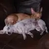 Pete Garza - @pete.garza1 - TikTok