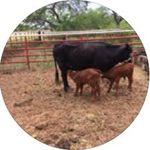 Pete Garza - @pete.garza1 - Instagram