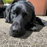 Pete Gibson - @pete21.gibson - Instagram