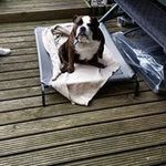 Pete Gibson - @petegibson7344 - Instagram