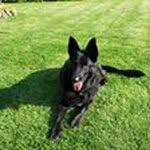 Pete Gibson - @gibson_pete - Instagram