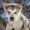 peter.goodman - @peter.goodman - TikTok