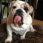 Pete Gordon - @vivapete - Instagram