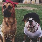 Peter Guzman - @peter.guzman.399 - Instagram