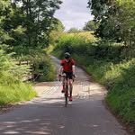 Pete Hammond - @petehammond5 - Instagram