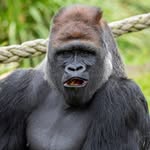 @pete_hammond_ - Instagram