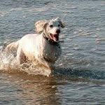 Pete Hardy - @pere.hardy - Instagram