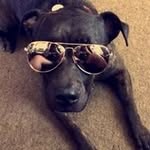 Pete Haynes - @petes_45 - Instagram