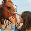 Pete - @petethehorse - TikTok