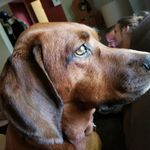 Pete Henderson - @petetodestroy - Instagram