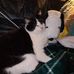 Petey Hendricks - Facebook