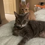 Pete & Henry - @pete_and_henry - Instagram