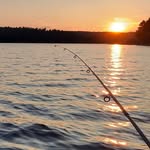 Pete Henry - @pete.henry.355 - Instagram