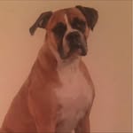 Albie Hewitt - @peter.hewitt.7399 - Instagram