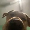 Peter - @peter_hewitt23 - TikTok