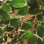 Pete Hodges - @pete_sleep - Instagram