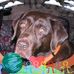Pete Hodges - Facebook