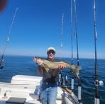 Pete Holmes - Facebook