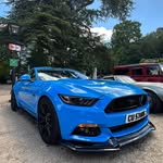 Pete Holmes - @_blue_stang - Instagram