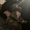 Pete Hunter - @pete.hunter0 - TikTok