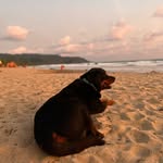 Peter James Carter - @petei.rving - Instagram