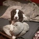 Pete Kane - @petekane64 - Instagram