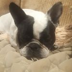 Pete Kane - @kane.peteism - Instagram