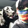 Pete Kelley - @petekelley - TikTok