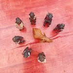 Pete King - @peteking70 - Instagram