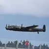 Peter Lawless - @peterlawless5 - TikTok