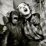 Pete Lester - @pete_gas - Instagram