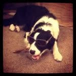 Pete Lester - @petelest - Instagram