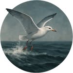 Pete Lloyd - @steelshadowstudio - Instagram