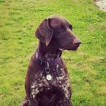 Peter Lynch - @peterwlynch - Instagram
